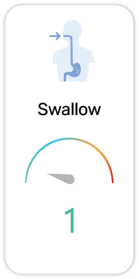 ISCE Swallow